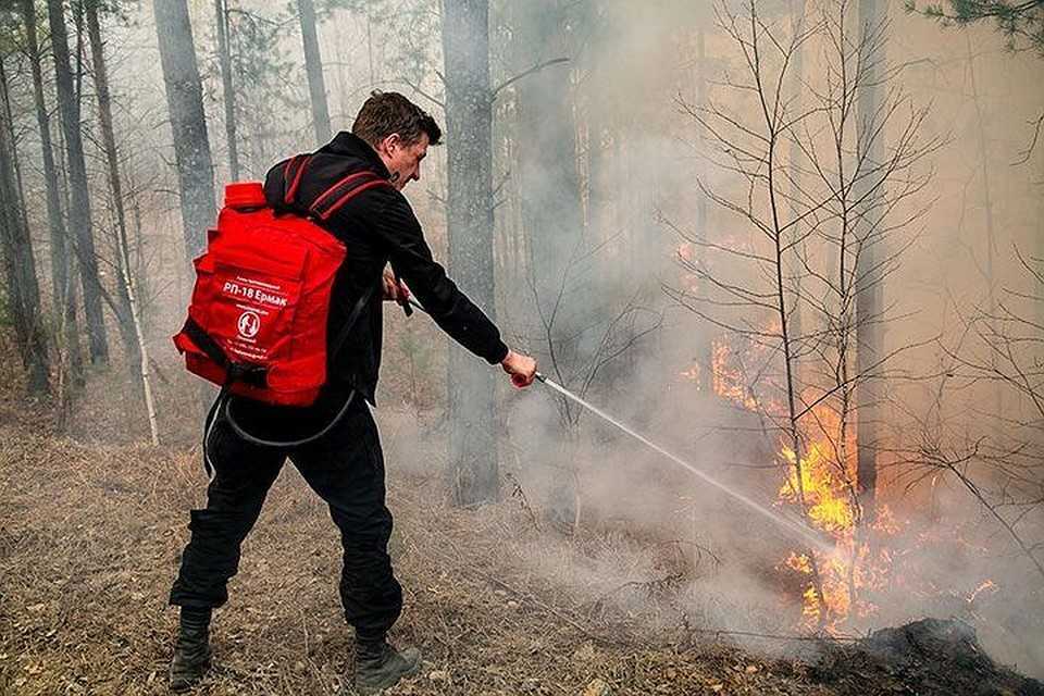 Ранцевый (лесной) огнетушитель — назначение, характеристики