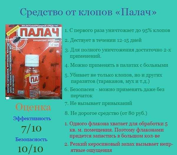 Средство от клопов «палач»: инструкция по применению, состав, действующее вещество, как пользоваться. средство от клопов «палач»