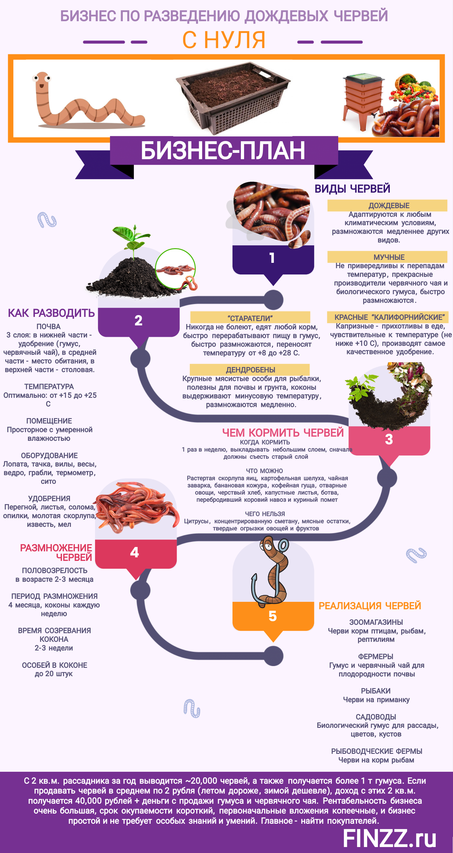 Дождевые черви бизнес план - 95 фото