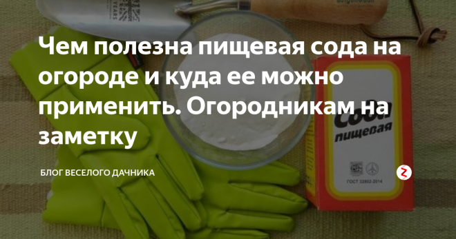 Пищевая сода в огороде. Пищевая сода для сада и огорода. Сода пищевая для сорняков. Сад пищевой соды.