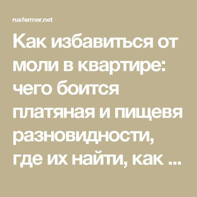 В статье говориться о том, как быстро избавиться от моли в квартире Какие виды моли существуют, и как они попадают в дом