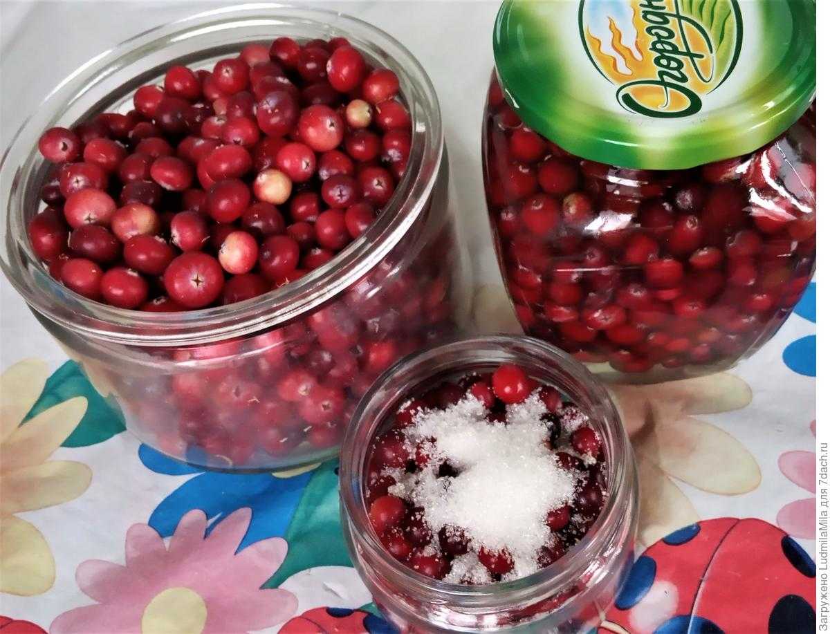 Как хранить клюкву в домашних условиях