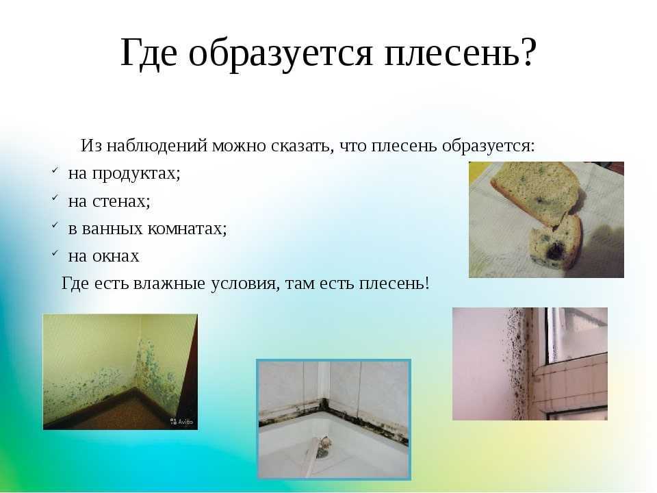 Как просушить дом после зимы, используем старый опыт