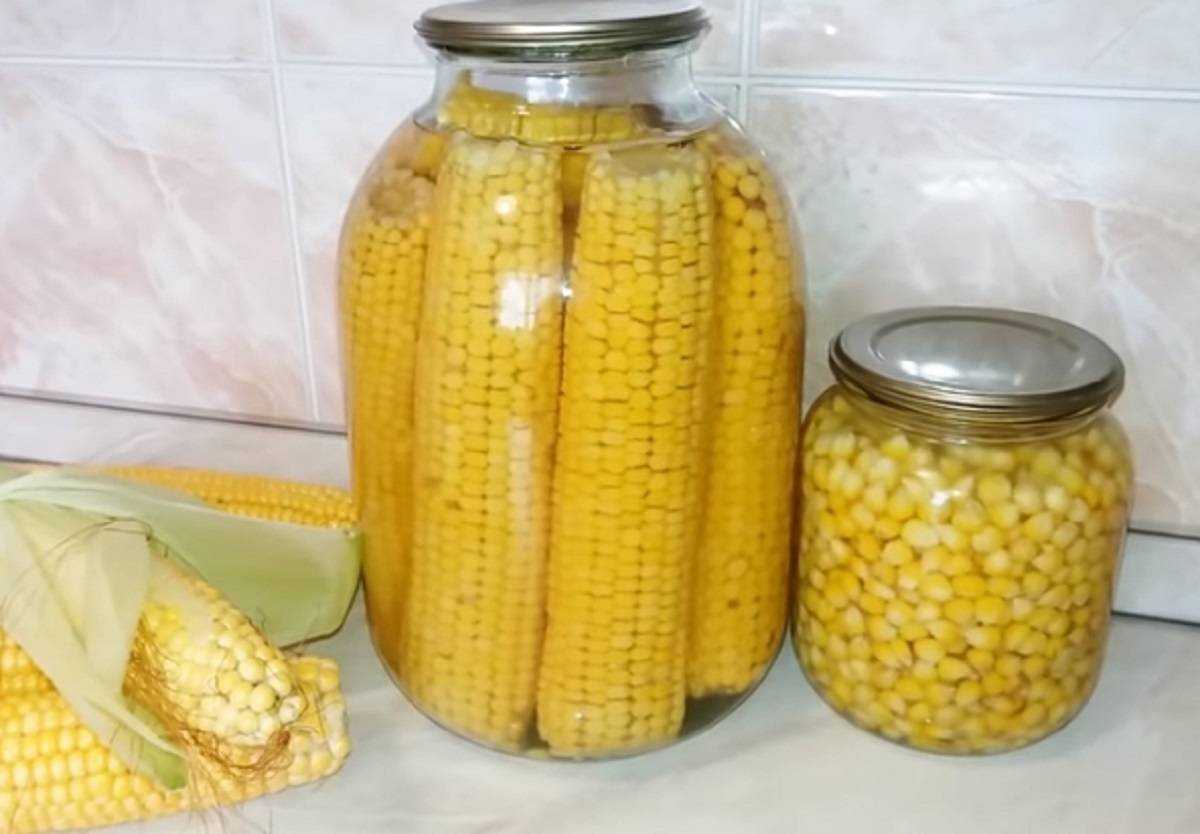 Кукуруза консервированная рецепты с фото. Консервированная кукуруза початки в банке. Кукуруза закатка. Кукуруза консервированная на зиму в початках. Кукуруза початками в банках на зиму.