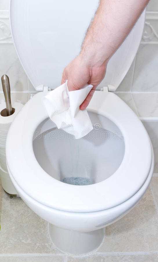 Можно ли туалетную бумагу смывать в унитаз