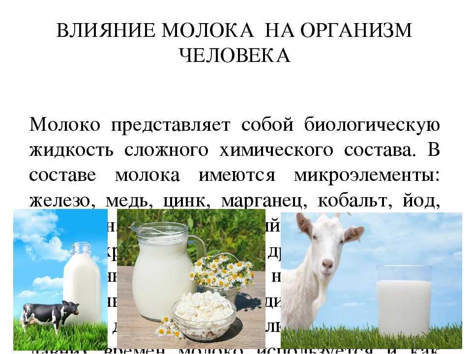 Чем заменить сухое молоко | все очень просто