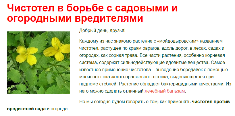 От каких ️ насекомых можно избавиться при помощи чистотела Как готовить раствор на основе чистотела от вредителей в саду и огороде, как использовать