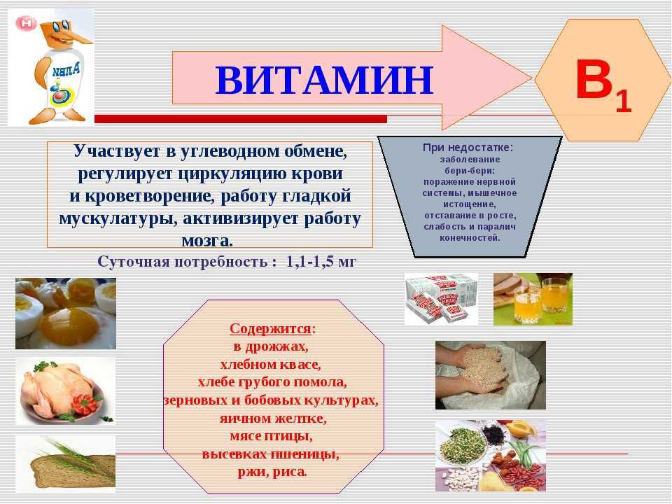 Уроки биологии витамины