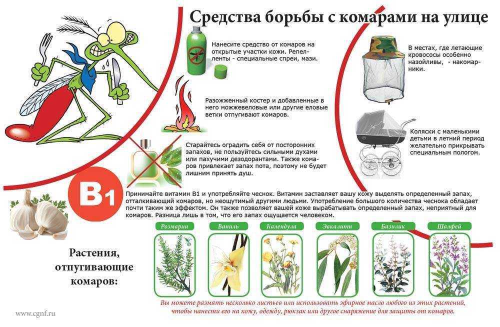 Цветы против вредителей: красота с пользой - дачные советы.ру