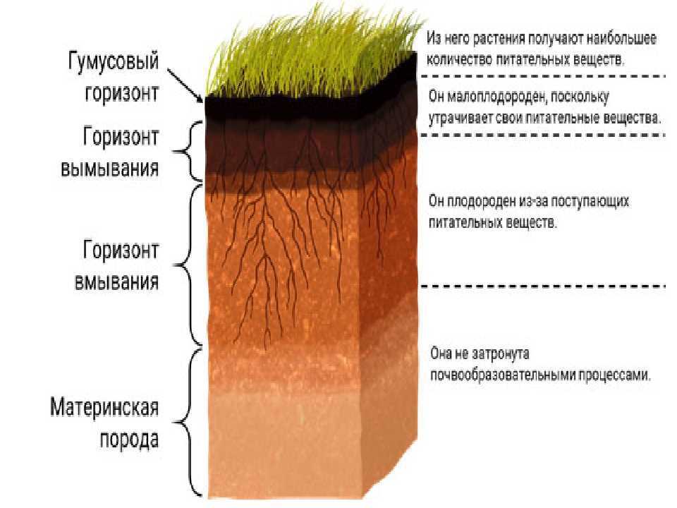 Схема слоев почвы