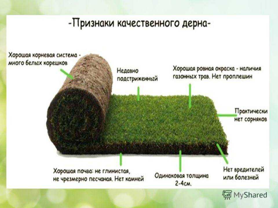 Подготовка участка под новый газон - сад 6 соток