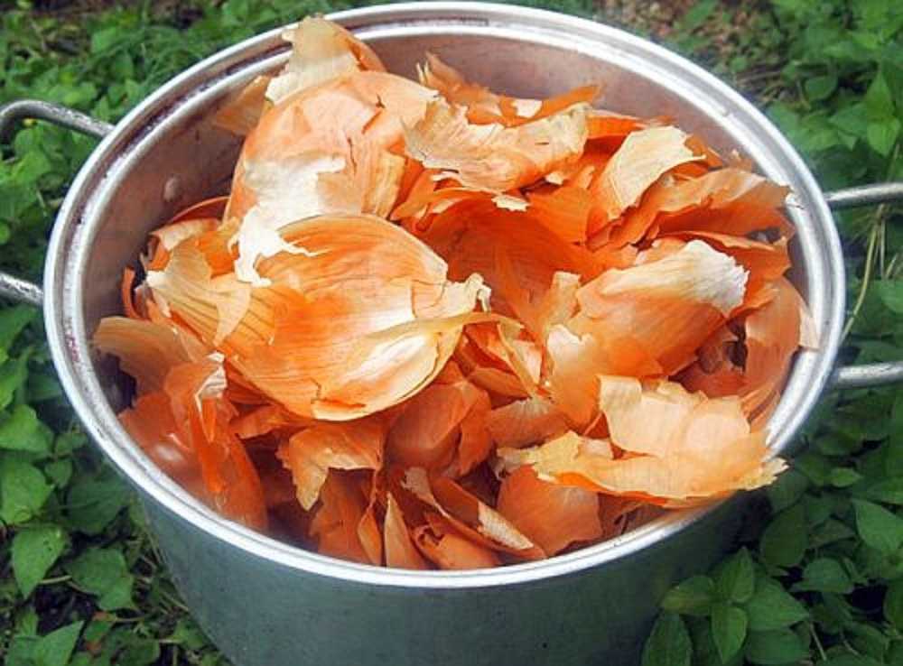Использование луковой шелухи в качестве натурального удобрения