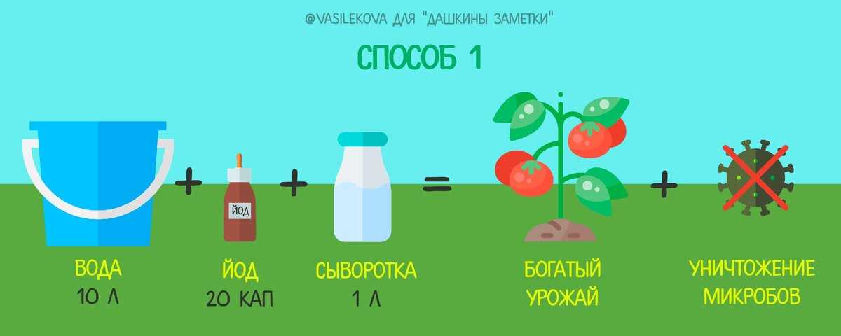 Опрыскивание огурцов молоком с йодом