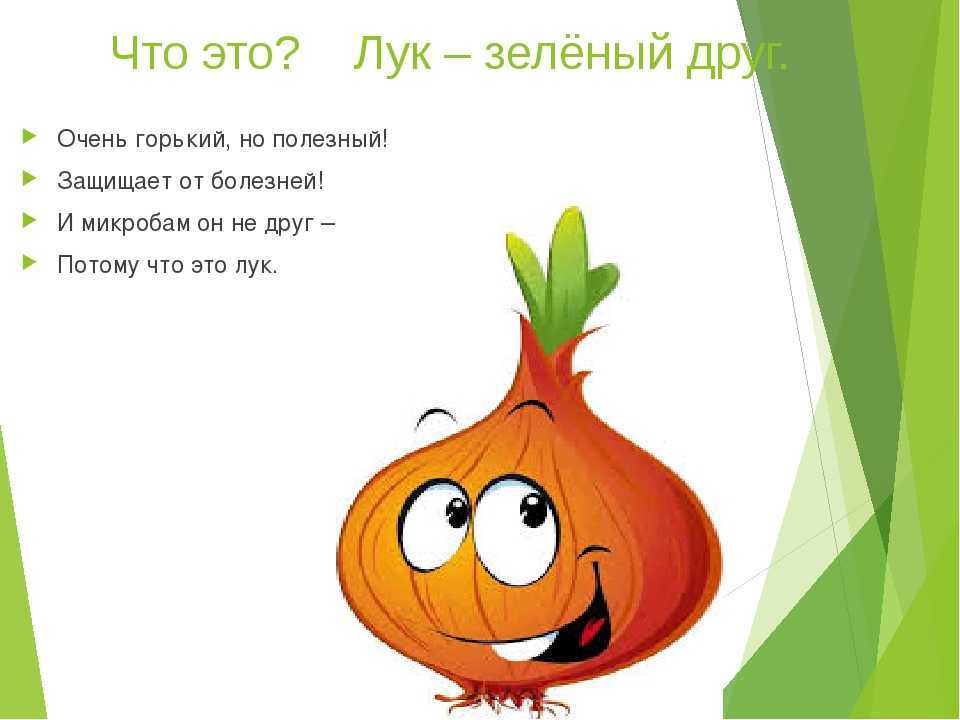 Польза зеленого лука и вред для здоровья человека: чем полезен для организма женщины и мужчины, можно ли при грудном вскармливании и беременности