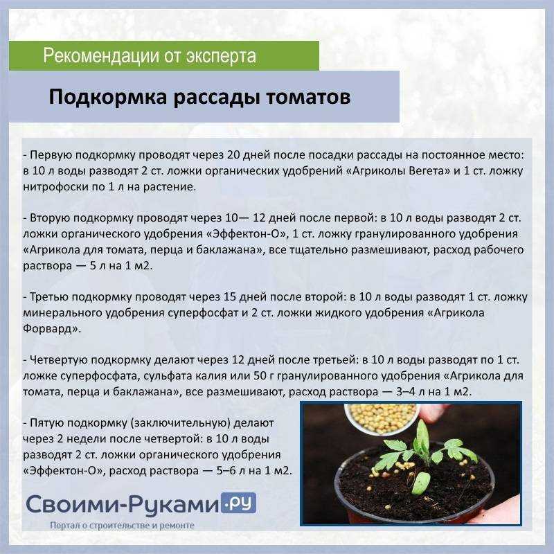 Дрожжевая подкормка для помидор и огурцов - рецепты и их применение