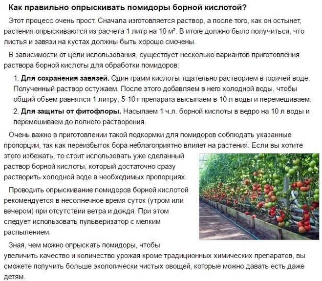 Обработка огурцов йодом, молоком - рецепты для защиты и подкормки
