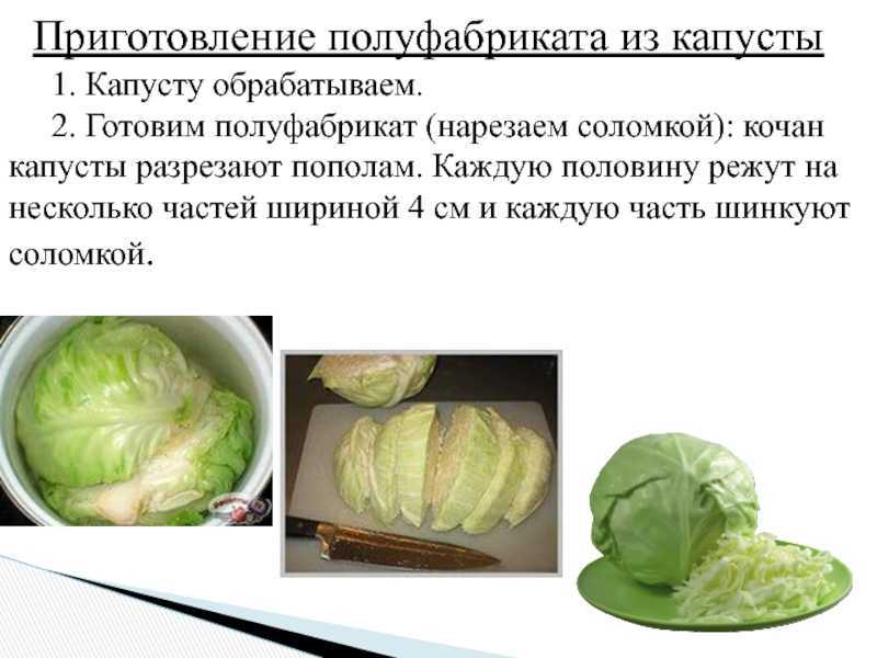 Обработка капустных овощей. Схема обработки капустных овощей. Приготовление овощных полуфабрикатов. Полуфабрикаты из капусты. Приготовление полуфабрикатов из капустных овощей.