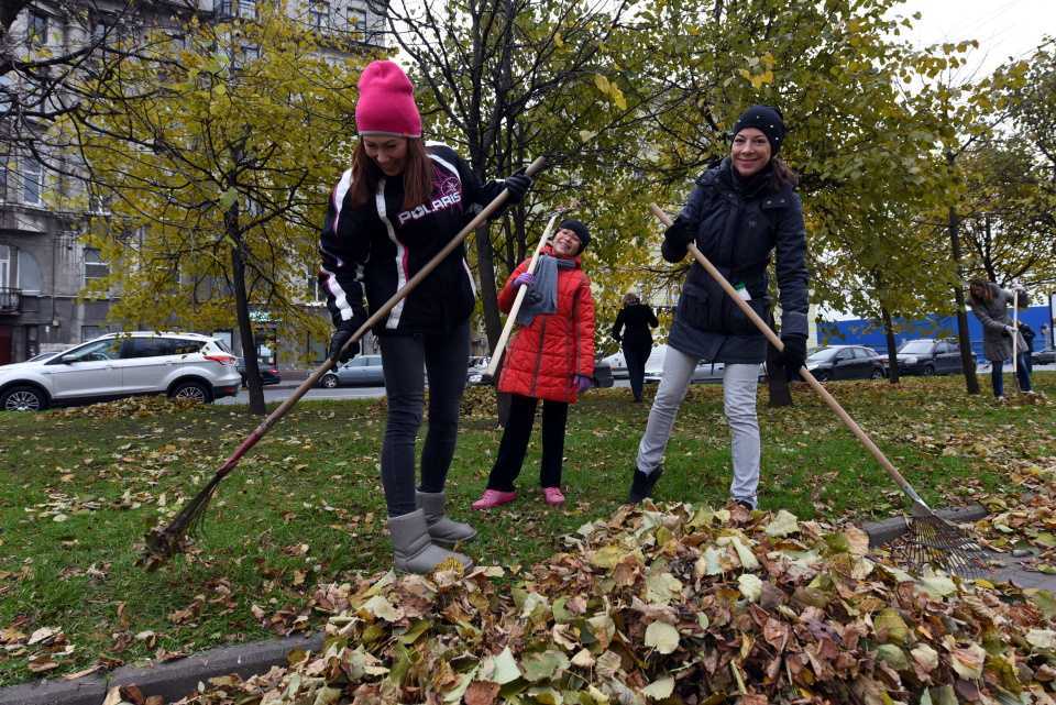 Подросток убирает. Уборка листьев. Осенний субботник. Уборка листьев осенью. Субботник осень.