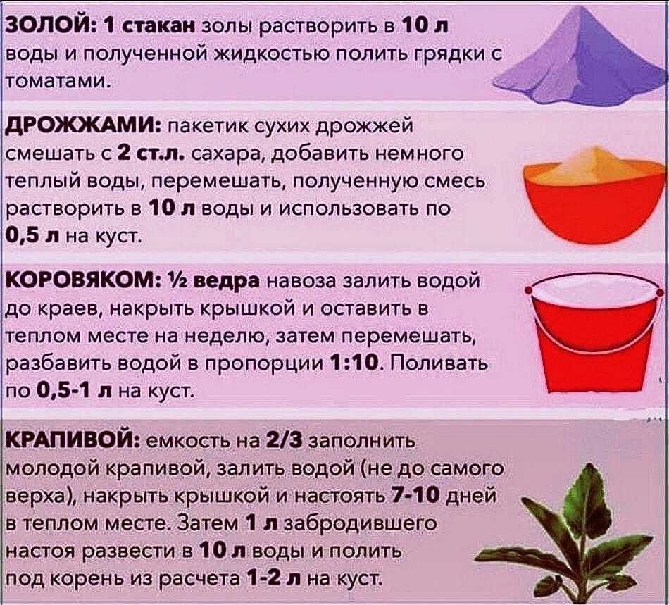 Дрожжевая подкормка овощей: советы по применению