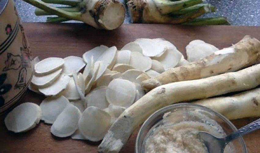 Хранение хрена в свежем и консервированном виде