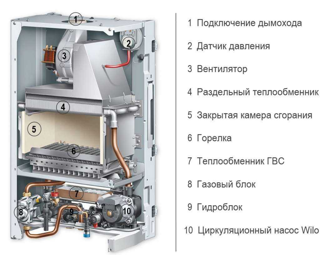 Пантера