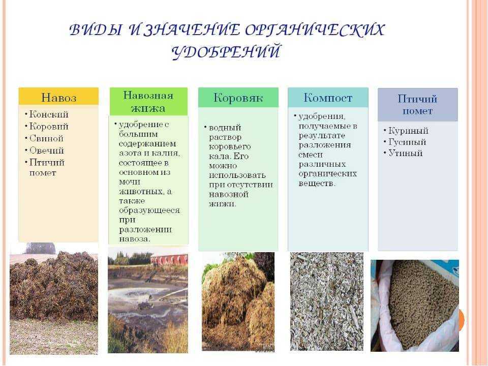 Органические удобрения картинки