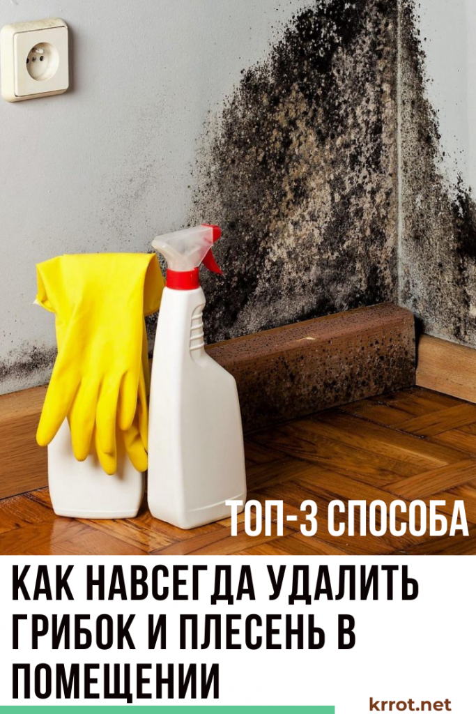 Самые эффективные способы избавиться от плесени на стенах в частном доме: 50 фото