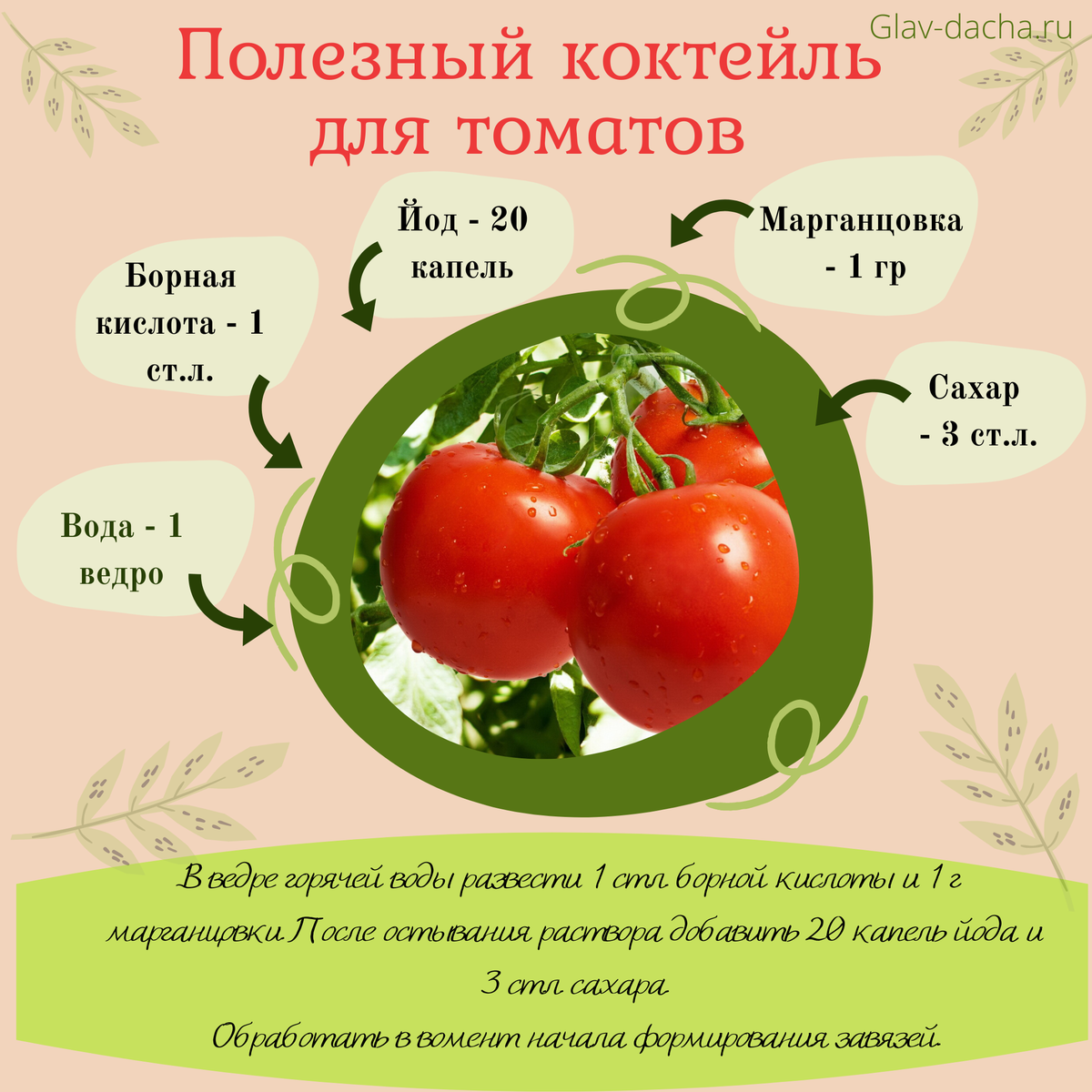 Таблица удобрения томатов