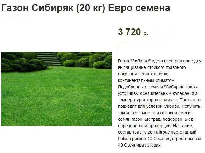 Посадка газона весной своими руками: пошаговая инструкция посева семян