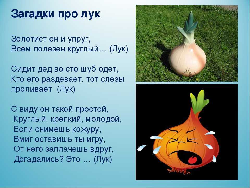 А вы сидели на луковом супе