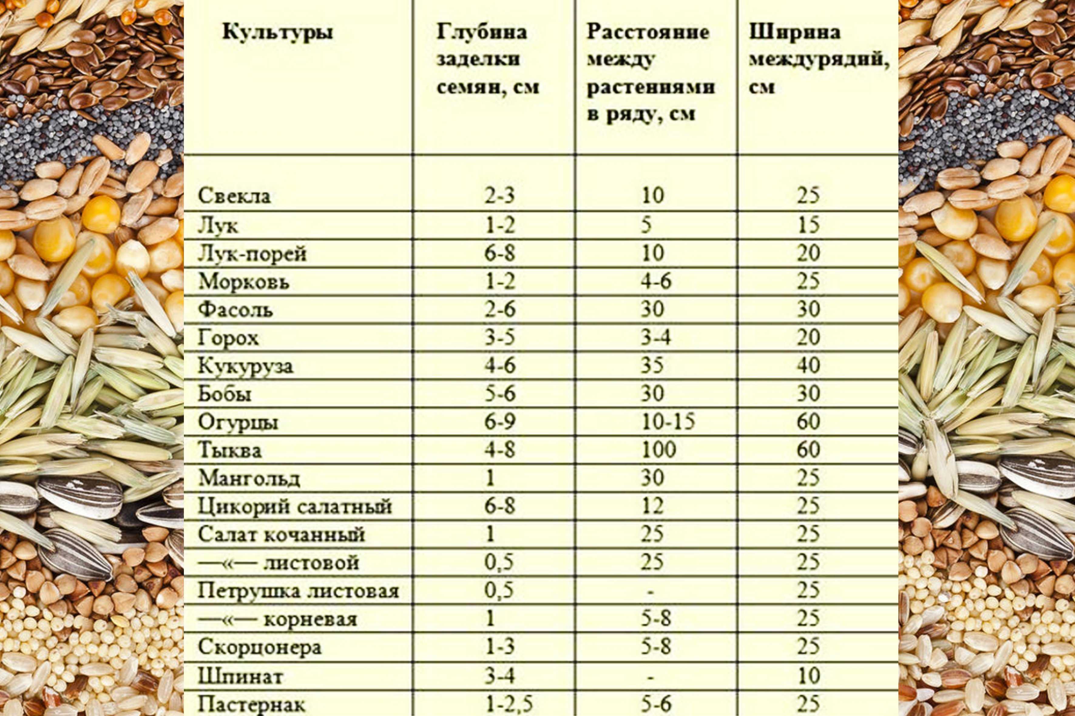 Сроки посева и нормы высева семян овощных культур