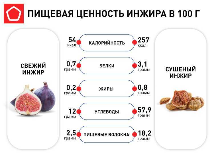 Что такое инжир и чем он полезен для здоровья и внешности?