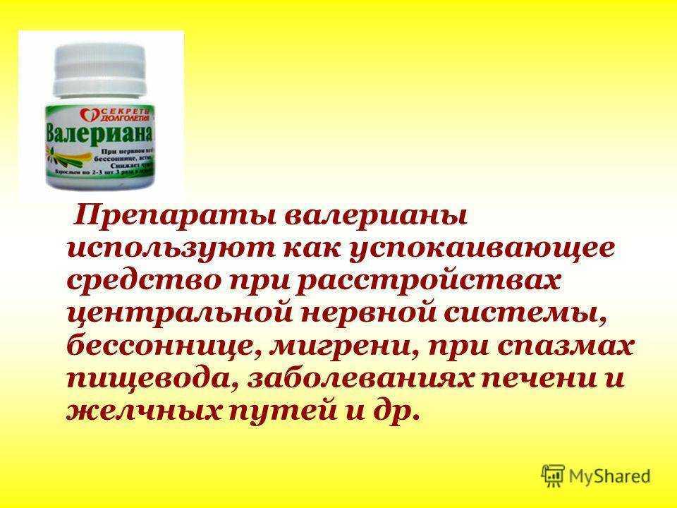 Что будет если дать коту валерьянку понюхать
