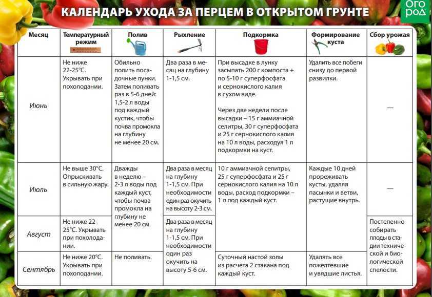 Как подкормить огурцы дрожжами?