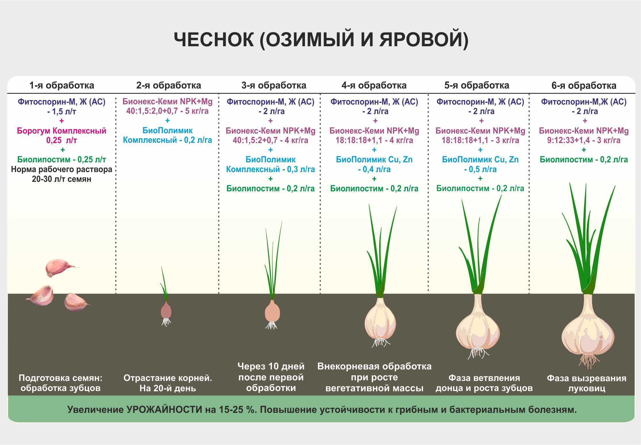 Как правильно подготовить землю для посадки овощных культур