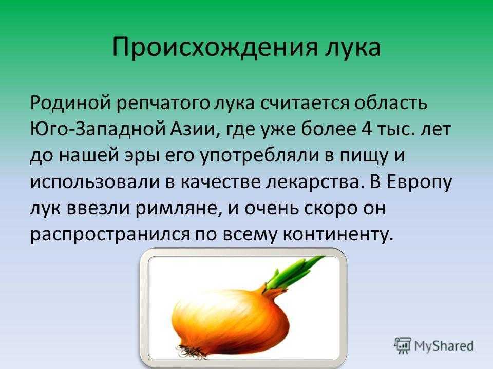 Происхождение лука как овощных культур