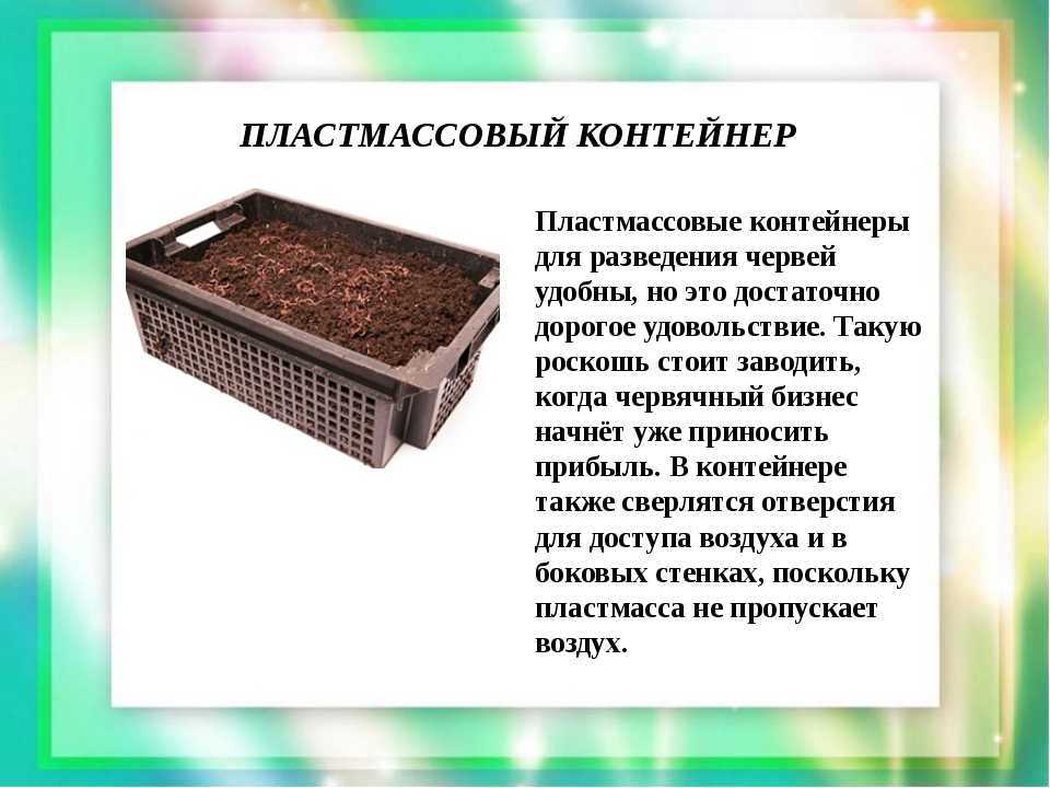 10 животных, полезных для сада и огорода, зря мы с ними боремся