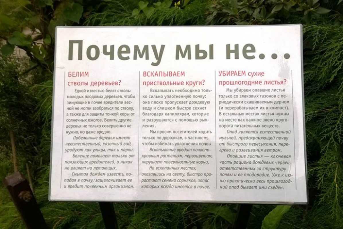 Зачем убирают опавшие листья с городских газонов. Таблички в Ботаническом саду. Таблички на плодовые деревья. Табличка под деревом в Ботаническом саду. Почему убирают опавшую листву.