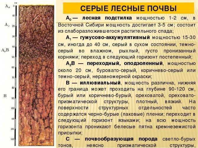 Самостоятельная заготовка земли