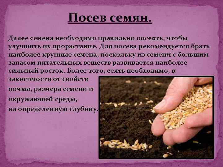 Подготовка почвы к посадке различных культур | cельхозпортал