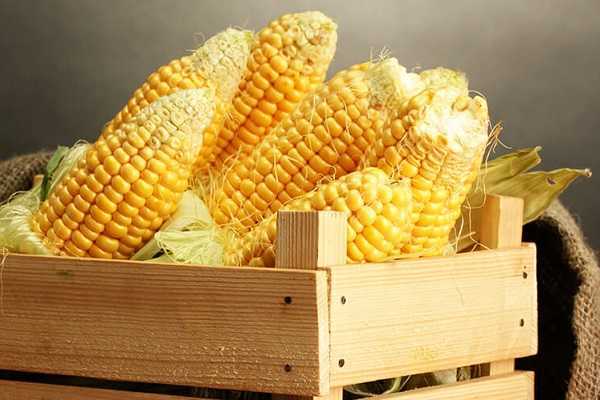 Как хранить кукурузу в домашних условиях – рецепты и полезные советы