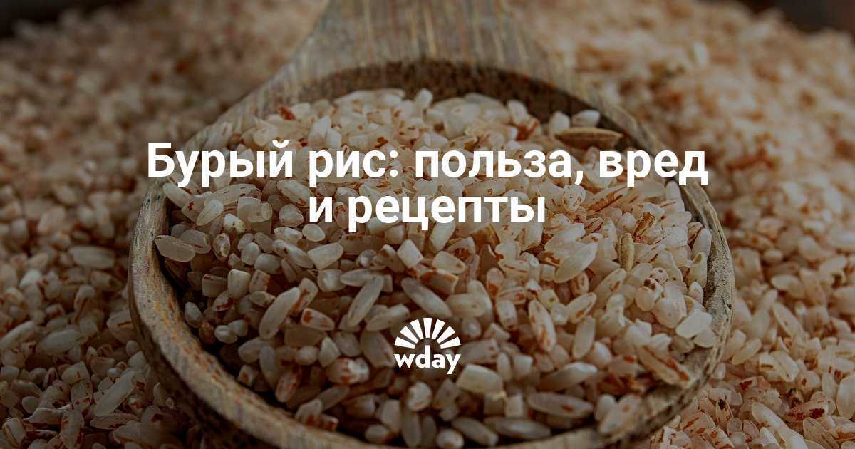 Калорийность бурого риса. Польза риса. Бурый рис польза. Рис полезен для организма. Полезен ли бурый рис.