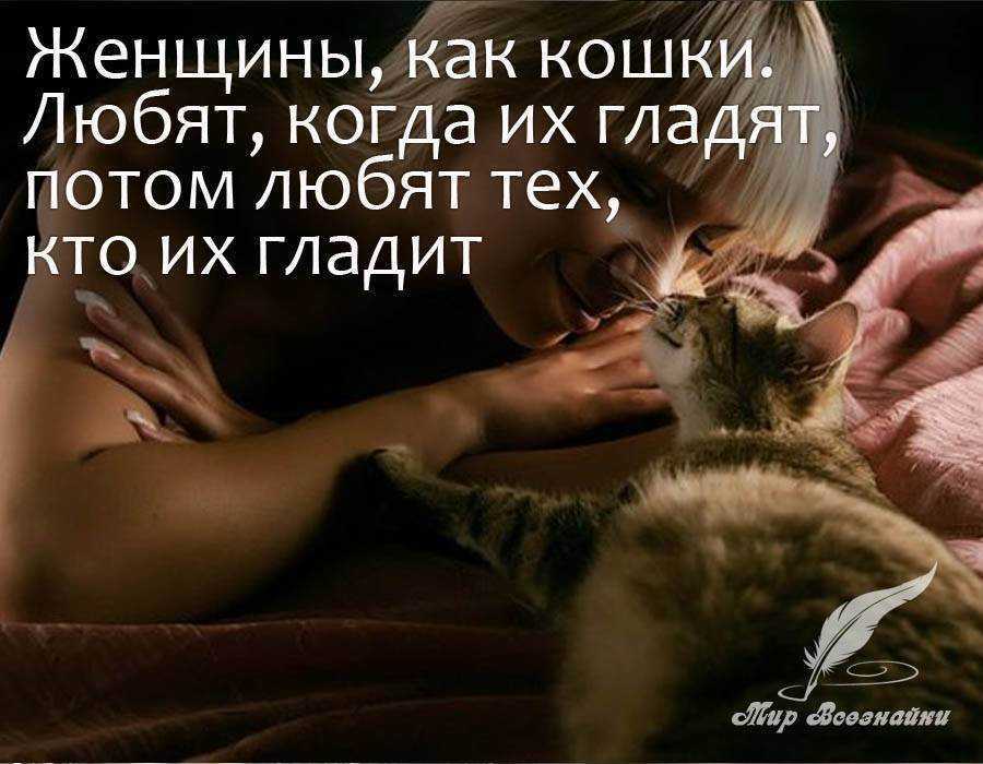 Плохо или хорошо спасть в одной постели со своим котом по суевериям