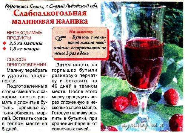 Наливки, настойки | chef.ru