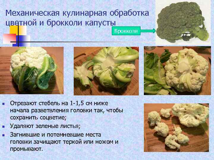 По какой причине свежая капуста горчит - мыдачники