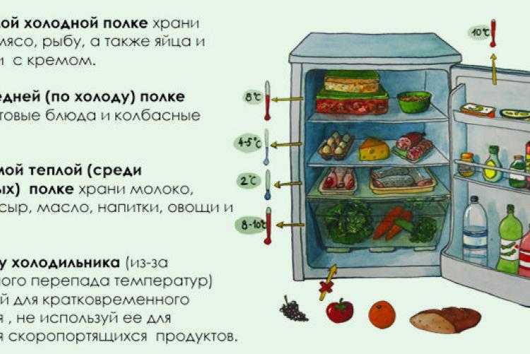 Можно ли держать хлеб в холодильнике? правила хранения, советы